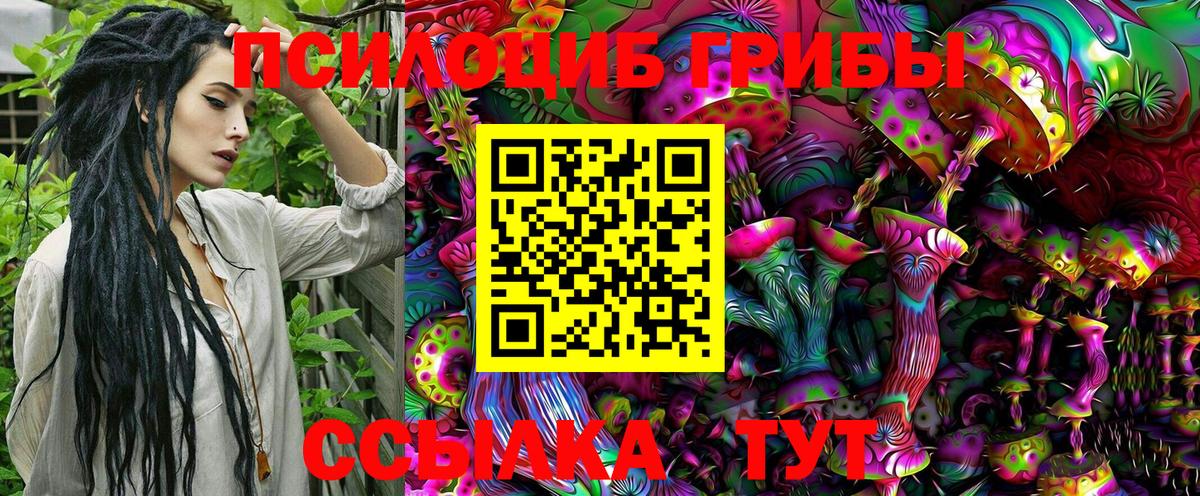 Керчь  Псилоцибиновые грибы MAGIC MUSHROOMS  Галлюциногенные грибы Psilocybine cubensis  Вход с VPN 